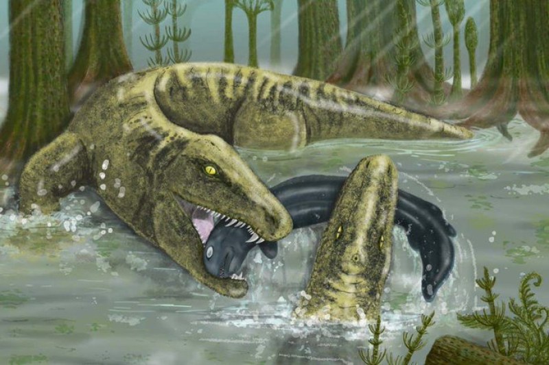 Откриха останки от страховит звяр, наподобяващ голям саламандър