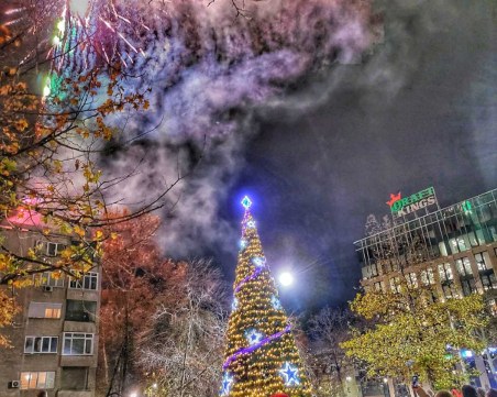 Коледната елха в „Източен