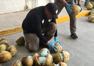 Мексикански прокурори съобщиха че полицията е открила 300 килограма таблетки