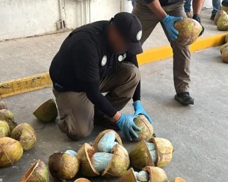 Заловиха 330 килограма таблетки фентанил, укрити в кокосови орехи