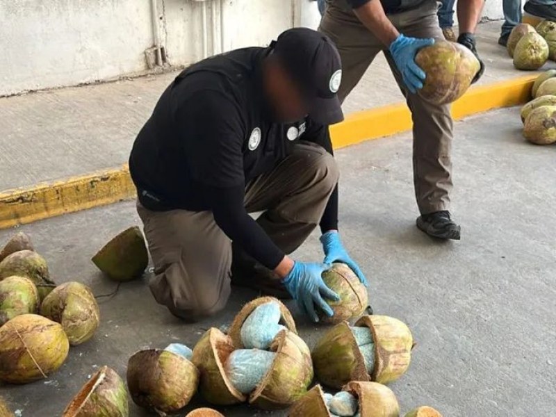 Заловиха 330 килограма таблетки фентанил, укрити в кокосови орехи