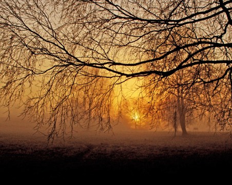 Седмицата започва с облаци, но топъл фронт вдига температурите до 16 градуса през уикенда