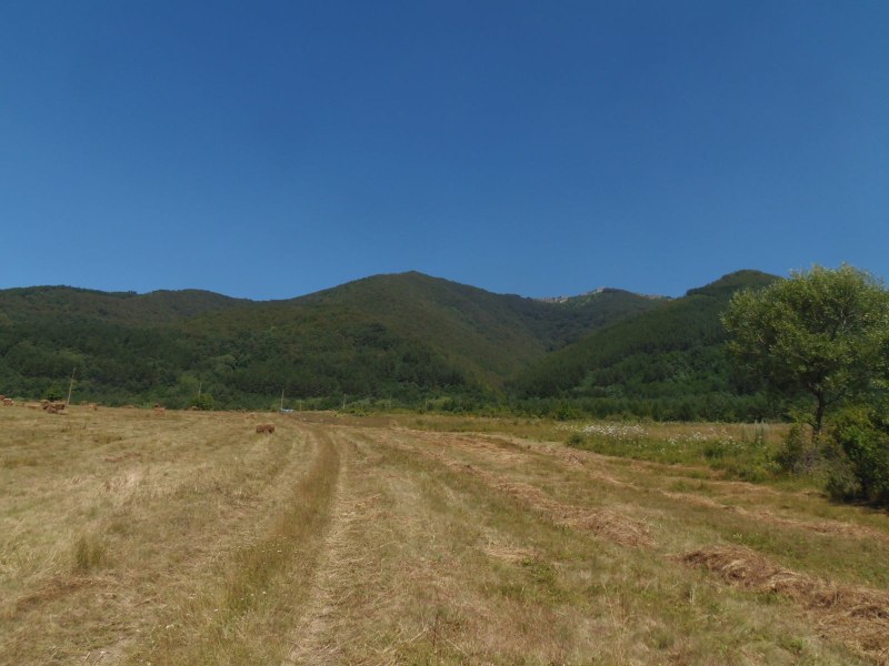 Обявиха нова защитена местност в България - „Находища на алпийски тритон в Руй планина