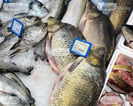 По-скъп шаран за Никулден в Пловдив