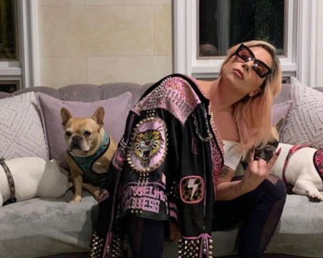 21 години затвор за похитителя на кучетата на Лейди Гага, който стреля по неин служител