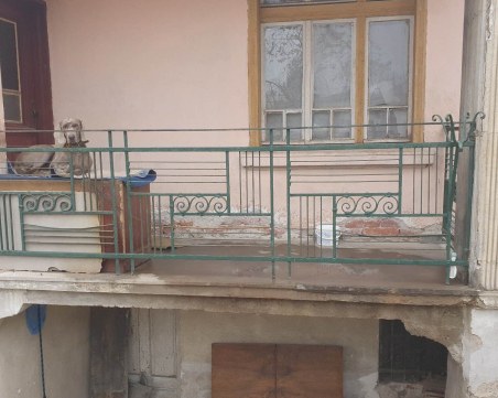 Къде е зоополицията? Джеси и кучешкият ѝ живот в центъра на Пловдив