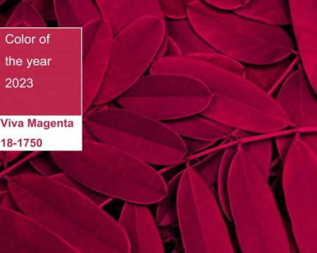 Обявиха цвета на 2023 година - 