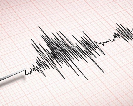Земетресение в Благоевградско