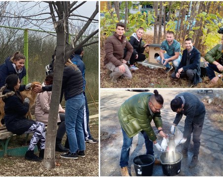 Пловдивчани набират средства за къщички за бездомни животни за всеки район на града