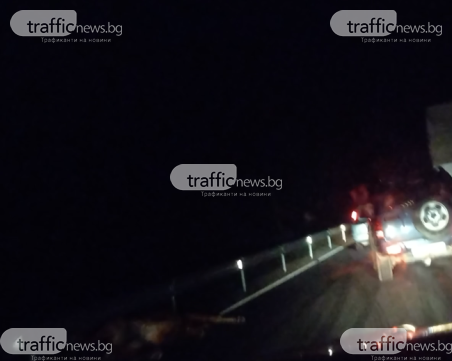 Камион блъсна кон край Сопот, образува се тапа