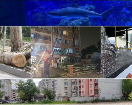 ОБЗОР: Деца хвърляха камъни по автобус, 22 дилъри хванати по акция 