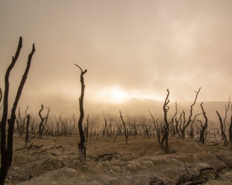 Поглед в бъдещето: Вероятно всички същества на Земята ще се задушат от липса на кислород