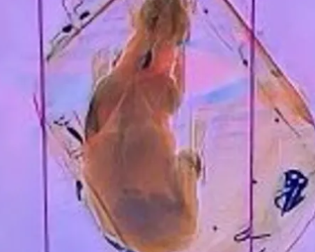 Учудваща находка: Намериха куче, скрито в раница на летище