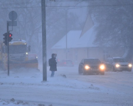 Снежни бури оставиха десетки хиляди без ток в Естония