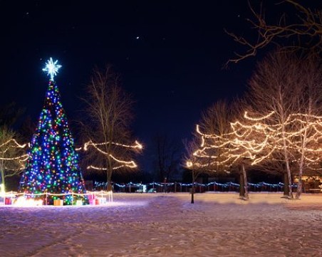 Фестивал на Марица събира пловдивчани на топли напитки и вкусни домашни печива