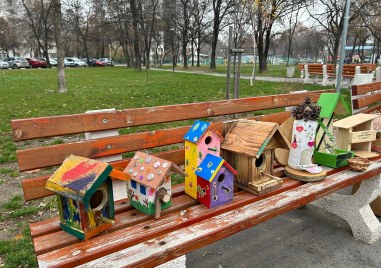 С къщички за птици е оборудван от днес парк Ружа