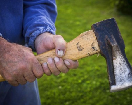 Арестуваха тийнеджър, наранил куче с брадва