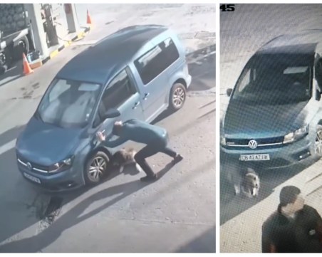 Издирват шофьор, прегазил куче във Варна