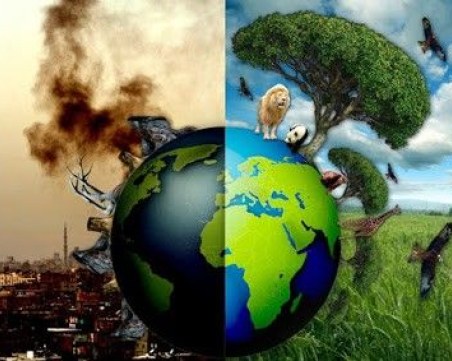 Седемте индустрии, които най-много замърсяват планетата