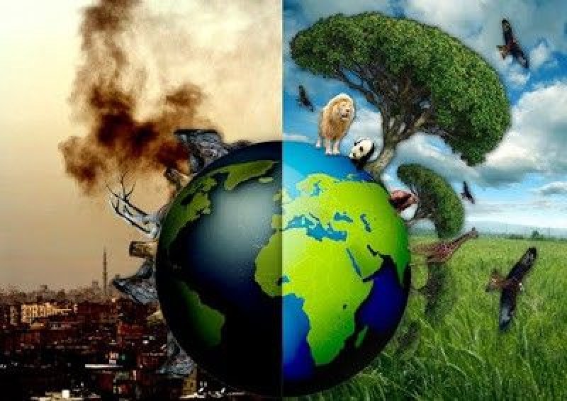 Седемте индустрии, които най-много замърсяват планетата