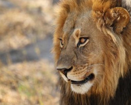 Интернет потребителите луднаха по новата 