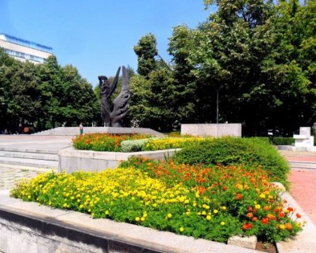 Община Пловдив цяла година озеленява центъра, пропусна най-слабо залесените си райони