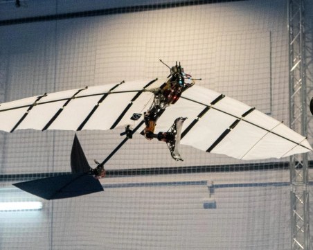 Учени създадоха дрон-птица за наблюдение на природата