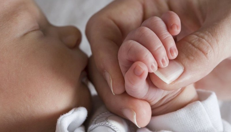 Директорът на „Шейново” за разменените бебета: За първи път се случва такова нещо