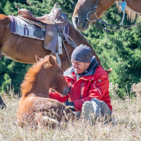 Откраднаха 5 кончета за езда край Пловдив, собственикът им проследи 3 км дири до асфалтов път