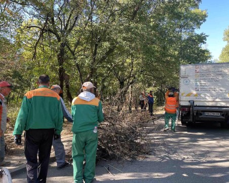 Опасни дървета и клони в парк 