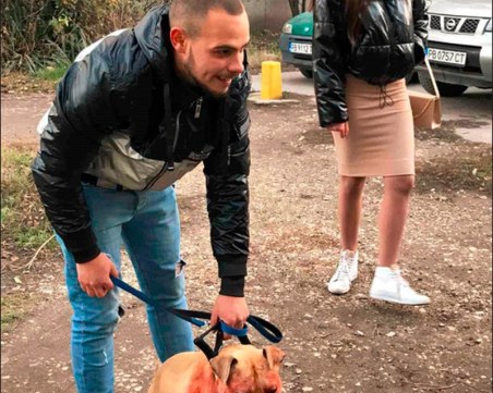 Куче нахапа жестоко улична котка в Кючука! Издирват собственика му