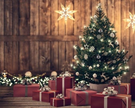 Защо украсяваме Коледна елха?