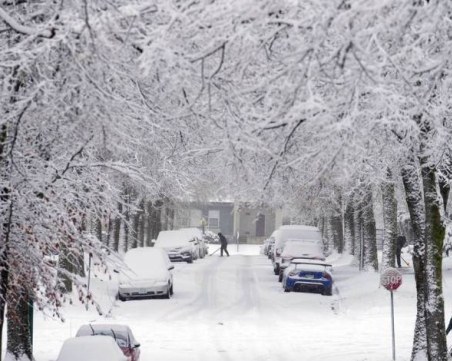 Зимен ад в САЩ, най-малко 15 души загинаха