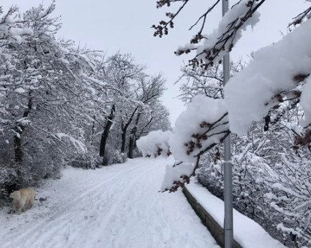 53 ранени при автобусна катастрофа в Западна Канада