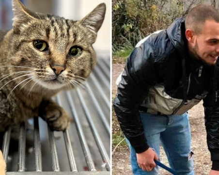 Нападнатата от питбул котка се оказа борец