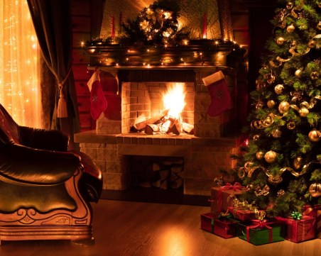 Учени разкриват как коледните елхи са развили невероятната си пирамидална форма