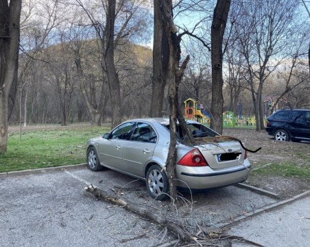 Клон се стовари и потроши кола в Пловдив