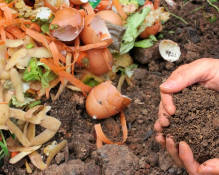 В Ню Йорк вече могат да компостират човешки останки