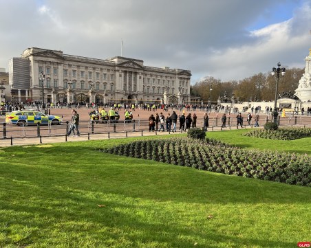 Катерици, лебеди и красиви гледки в най-стария кралски парк