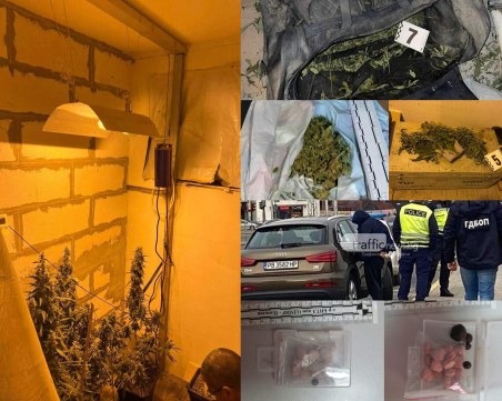 Марихуана за 1 милион лева е хваната за година в Пловдивско, разбиха канал за трафик на хероин