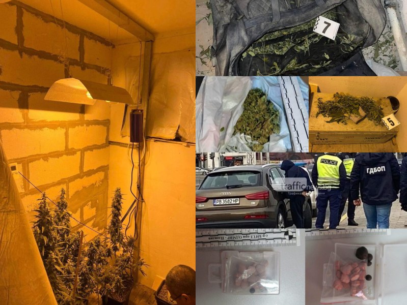 Марихуана за 1 милион лева е хваната за година в Пловдивско, разбиха канал за трафик на хероин