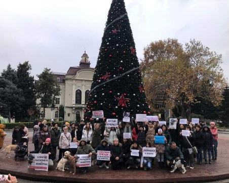 Природозащитници отново канят на протест в Пловдив срещу насилието на животни