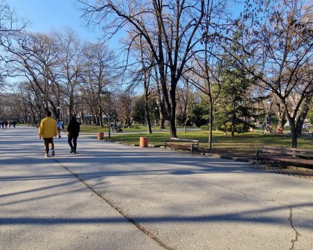 Вятърът в Пловдив спира, максималните температури до 12 градуса