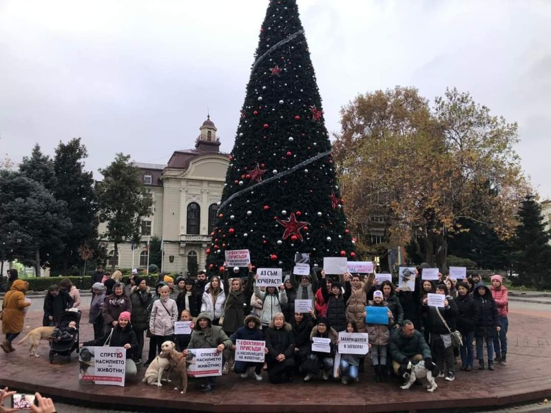 Протест срещу насилието над животните ще се проведе отново пред