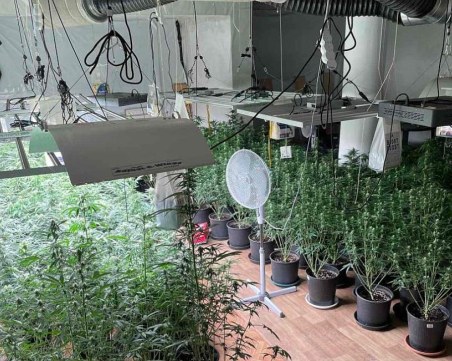 Спецоперация: Разкриха наркооранжерии в два апартамента в София