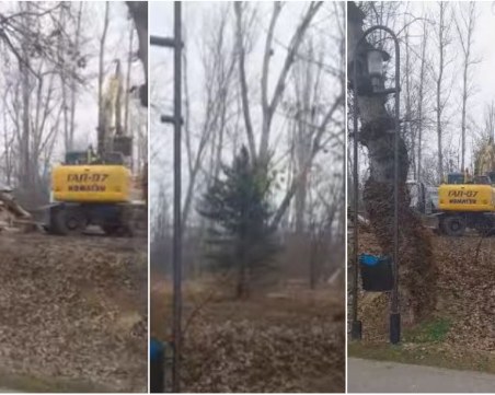 Поредна сеч на дървета на Гребната база вбеси пловдивчани