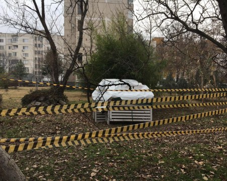 Телена ограда на междублоково пространство възмути пловдивчани: Някой ще се заколи