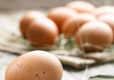 Яйцата поскъпнаха рекордно през 2022 г    при средно за Европа