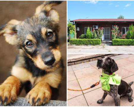 „Магазин за надежда” в Пловдив раздава любов, топлина и безрезервна обич