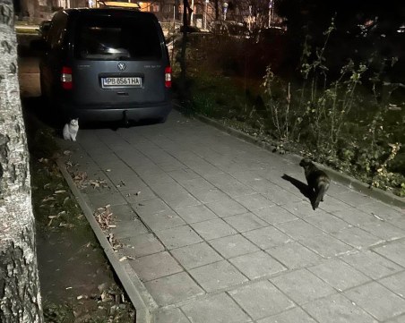 Пасажер в колата, която запуши алея в Кючука: Спряхме само за малко, нямаше къде